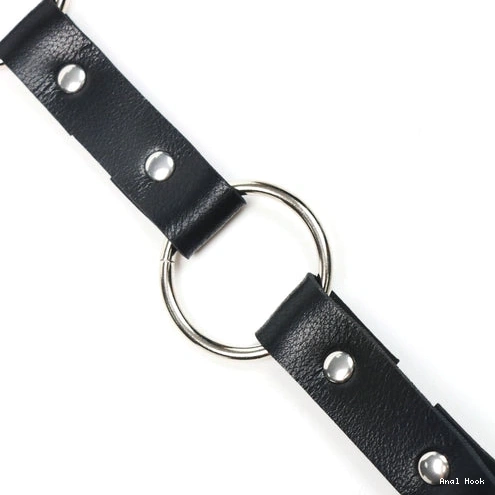 Anal Leash 5853 and Collar Kinky Hook EverydayUse with 1016